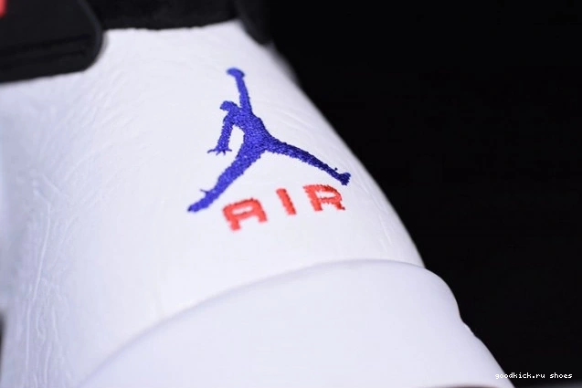 Grey Air 6 Flint Jordan CI3125-100 0819